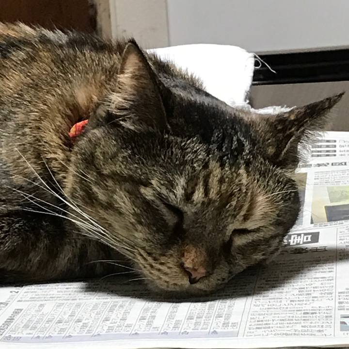 Cc99e57d 6fe3 46c6 b47c 9157b4da7e3b