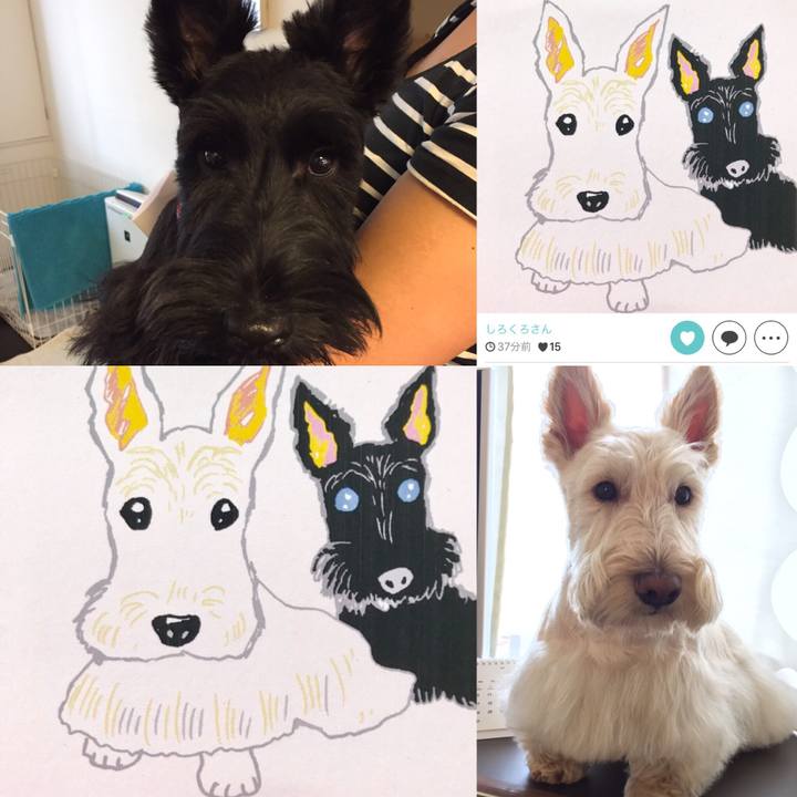 Cc9a2c36 4e43 402c a0e0 e8d0151afef8