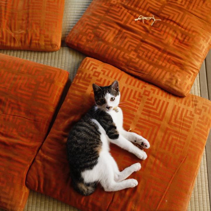 Cc9aaedf b714 4507 a35e de4c654c7ae7