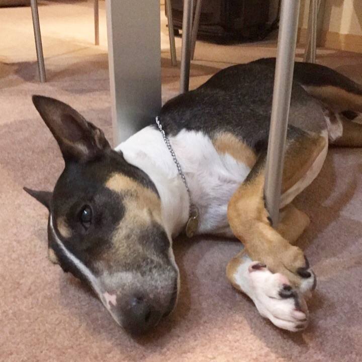 Cc9abfde 8f36 4845 9f6e e137478d1bdc