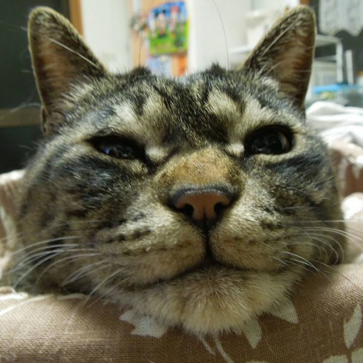 Cc9b26da dab6 4e05 a251 31fa00dbbb53