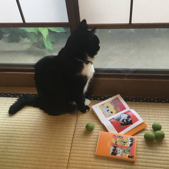 Cc9b3306 5bde 48e8 9ed2 16d76562c733