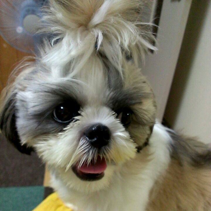 Cc9b5448 b25b 43a9 a665 7718b349d05a