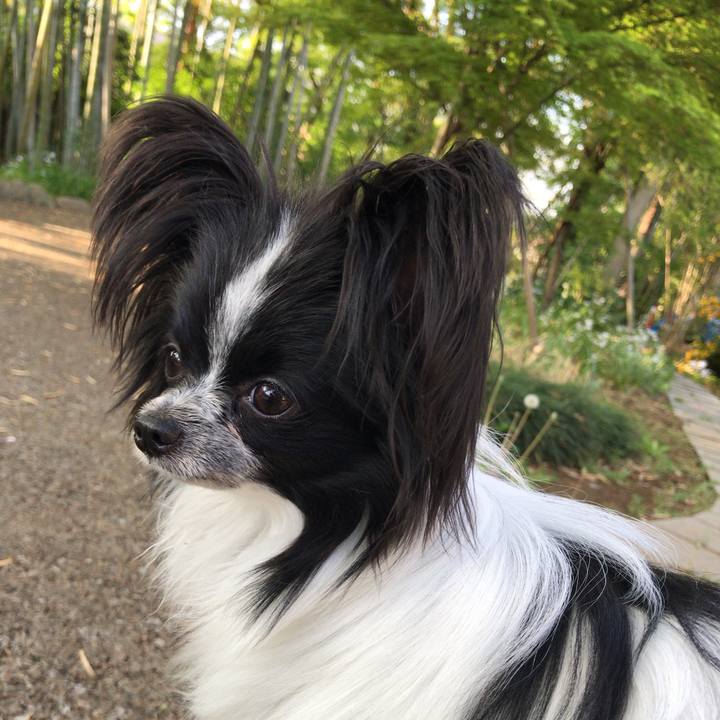 Cc9bc635 929b 4aa9 8602 1beab3bc8473