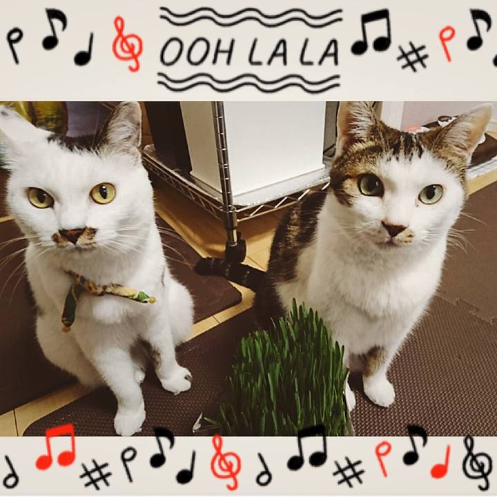 Cc9cbcb7 d1f0 4e37 b6a6 e480eb4622a4