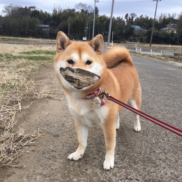 Cc9cf42f 038d 43a8 a8d1 0e0e7171af06