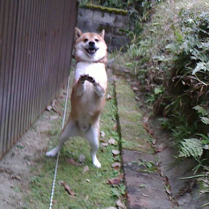 Cc9d5d22 8af4 4505 a24e 1d26fe839c34