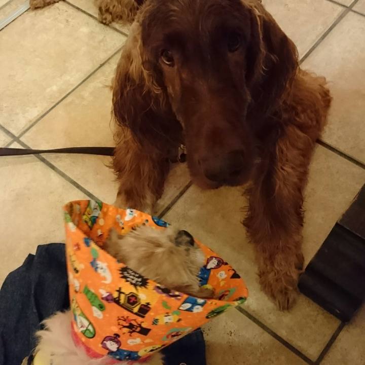 Cc9d8013 a7ac 411c ad67 7fb0262040f9