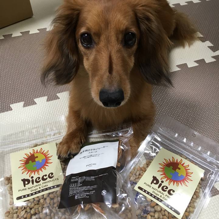 Cc9d93f6 a829 4fcc aade 24537e43dace