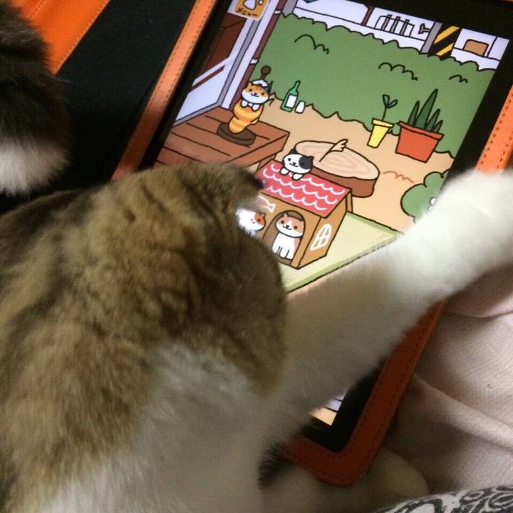 Cc9e682c 0483 4723 82b6 fba6c696f382