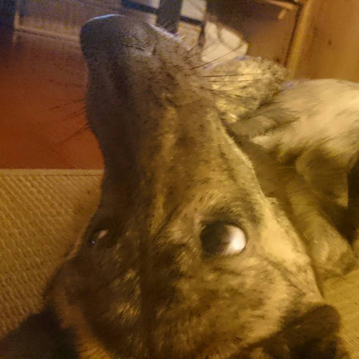 Cc9ebcdd 14a2 4e70 8e93 14368cb10756