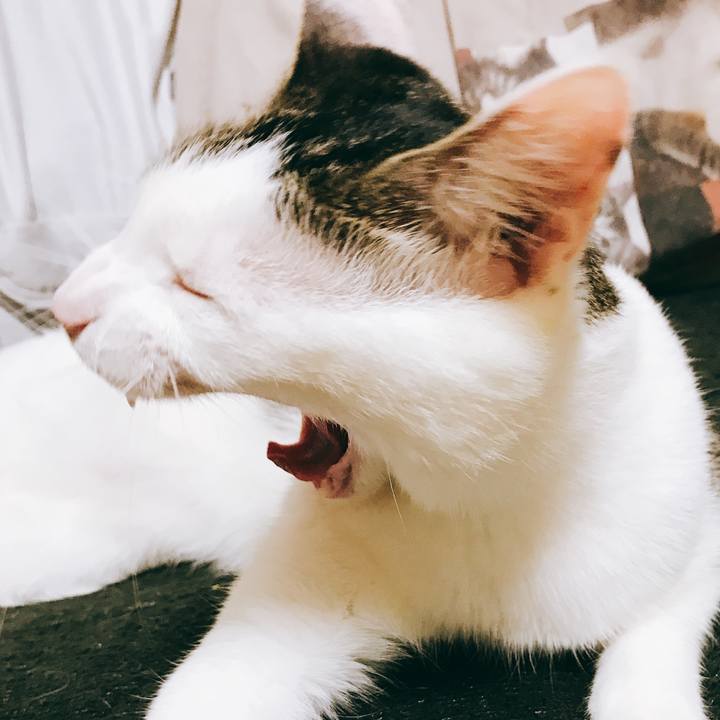 Cc9eda67 d8c0 429e 86cd f4411b1d5904