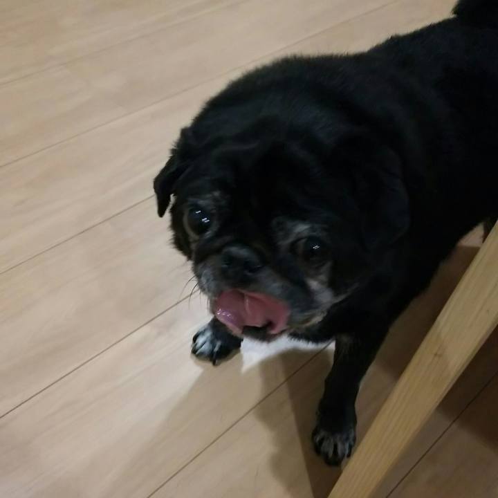 Cc9efad1 3515 46ba 98ce 80203dc4acab