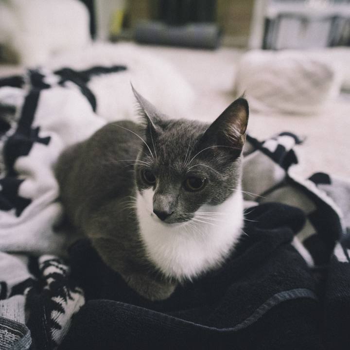 Cca00416 ba4b 4058 b3ba 3dee7e17e3c8