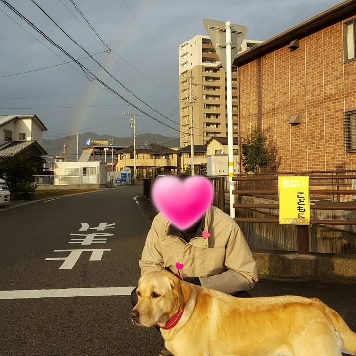 Cca0206c adce 45c7 89ee c9d2b724a101