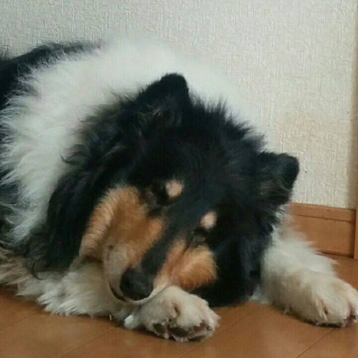 Cca07960 e7fe 46b0 8fc7 ffc6e67451bb