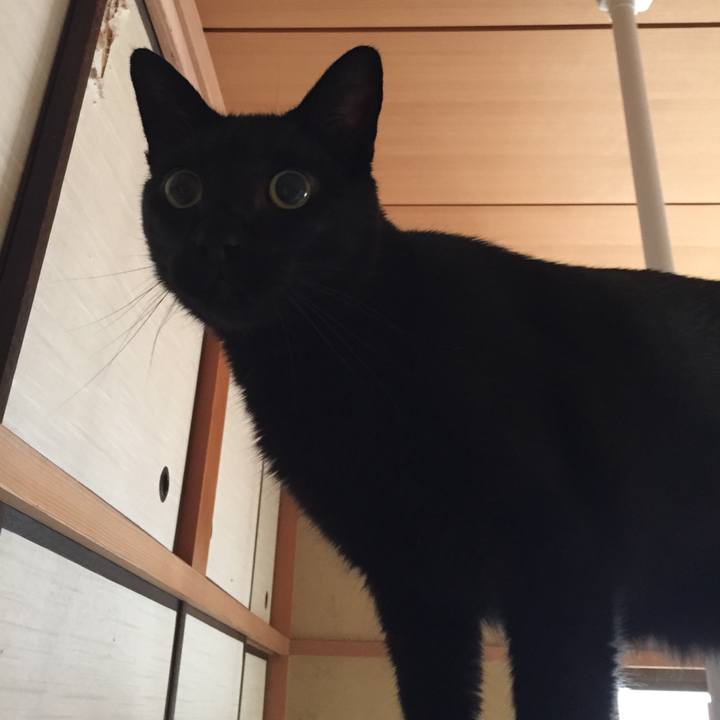 Cca0c3ec ce63 43cf 9e88 67a28012b591