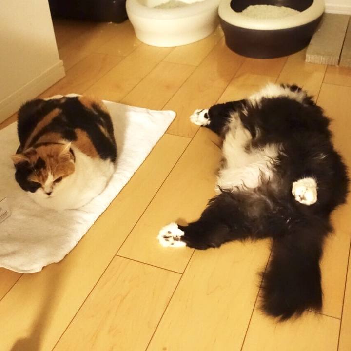 Cca0c8a9 a5e3 483a 94e2 bb241638eb5c