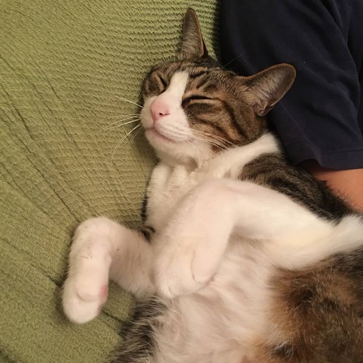 Cca16174 82f6 44b0 bd0e 2eac74712d81