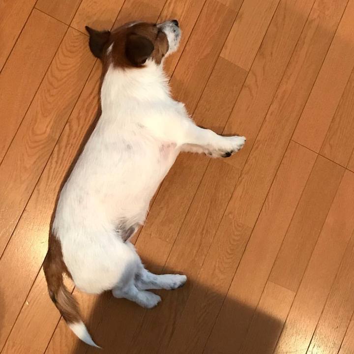 Cca1e621 5416 4b58 8a0a 861cf3069b77