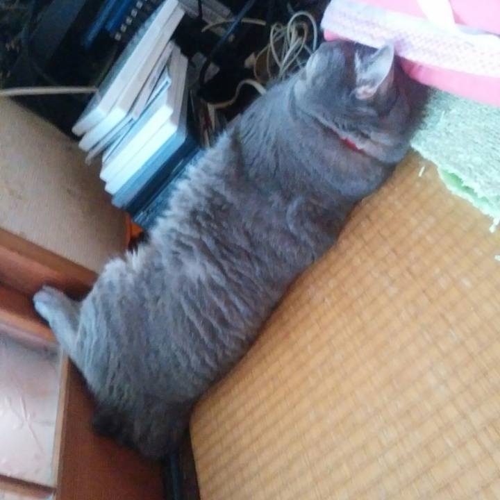 Cca20a86 96cf 4205 8fae b8f94961b4b1