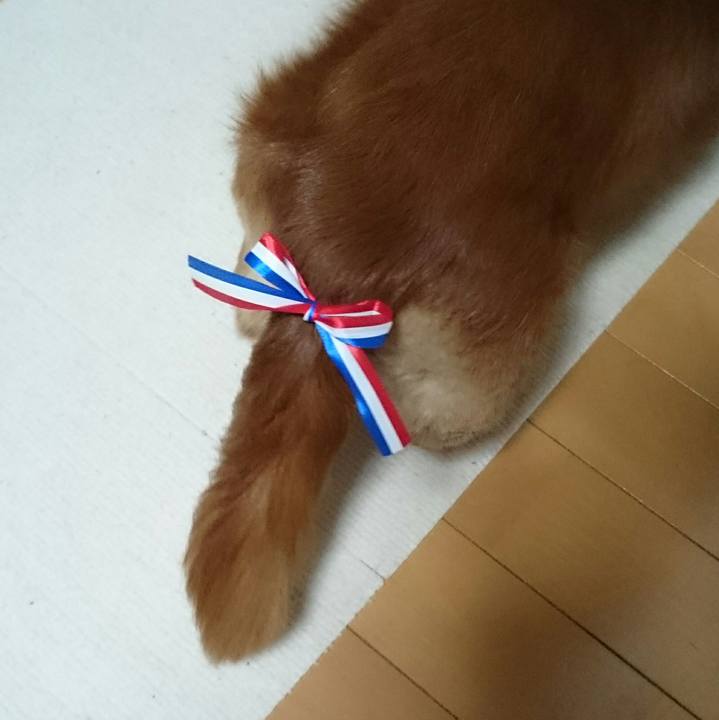 Cca2339a 41e0 4815 adbb 6e463dd4366c