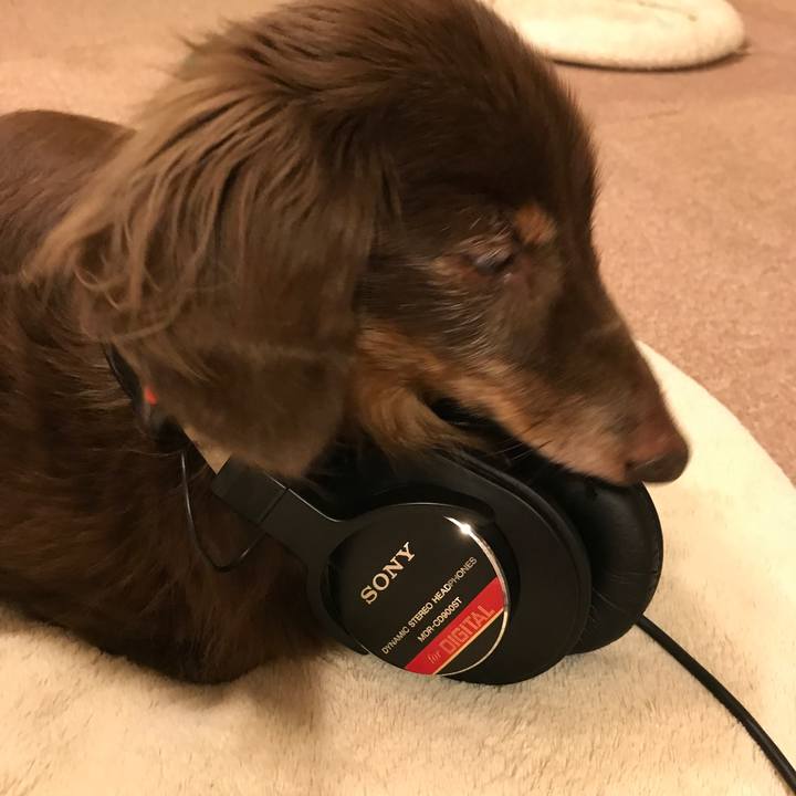 Cca25516 b568 4a2d 8ea0 274b61e4e3b6