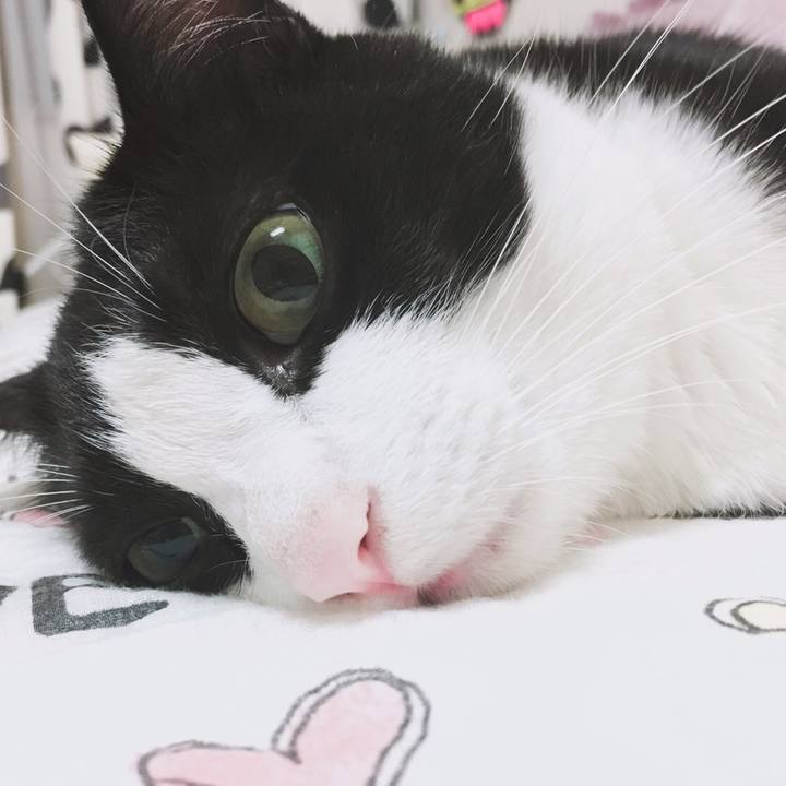 Cca26957 560b 4d3f 953b 7240bb10b565