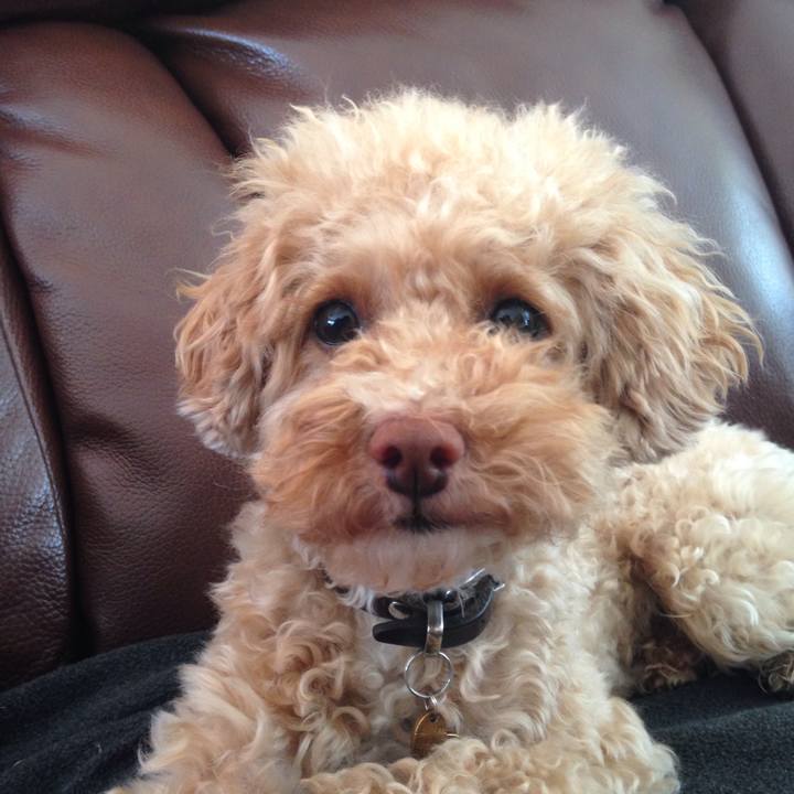 Cca2a2a6 6f18 4ee3 82e0 b18c4b2b0673