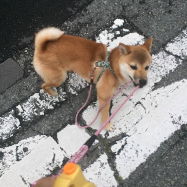 Cca3a102 ff7b 4990 af80 3cbd6686a034