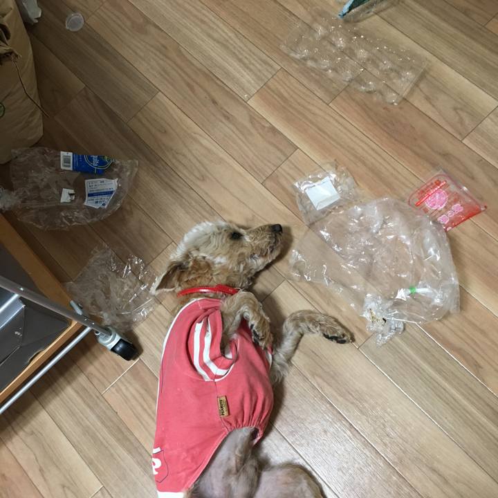 Cca4175f 5a91 4ac6 a6f0 74577f3766e2