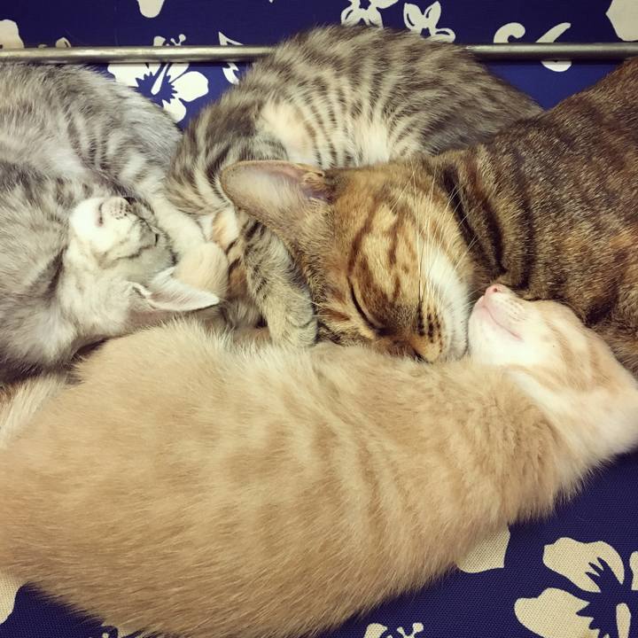 Cca4312e 183d 4336 8079 071f45bc265a