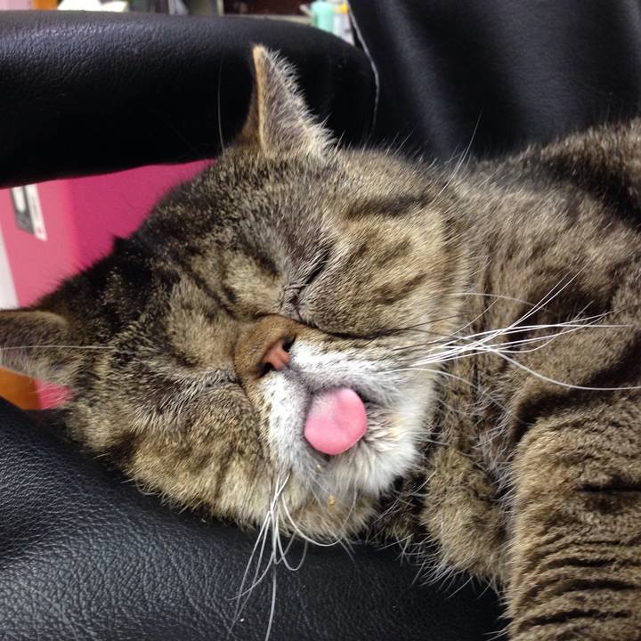 Cca453af c527 4c63 b7a6 8ffa06f04f5c