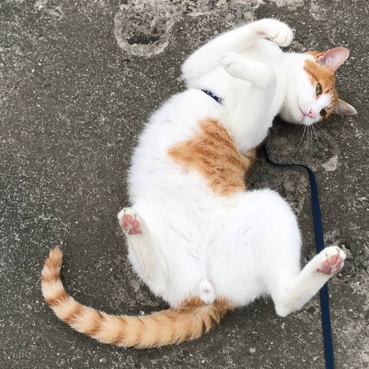 Cca4c319 db97 4eb7 927b c6d07ab68bf9