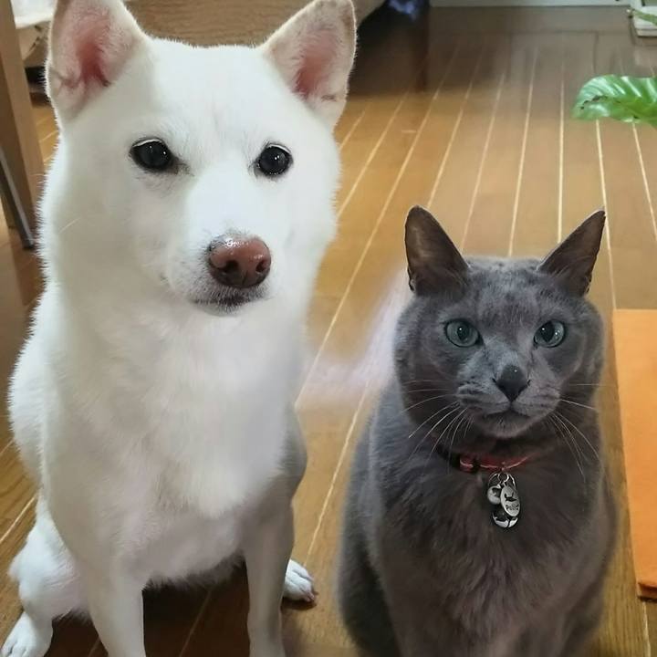 Cca5835d fc76 49ac 82f7 de043d9206da