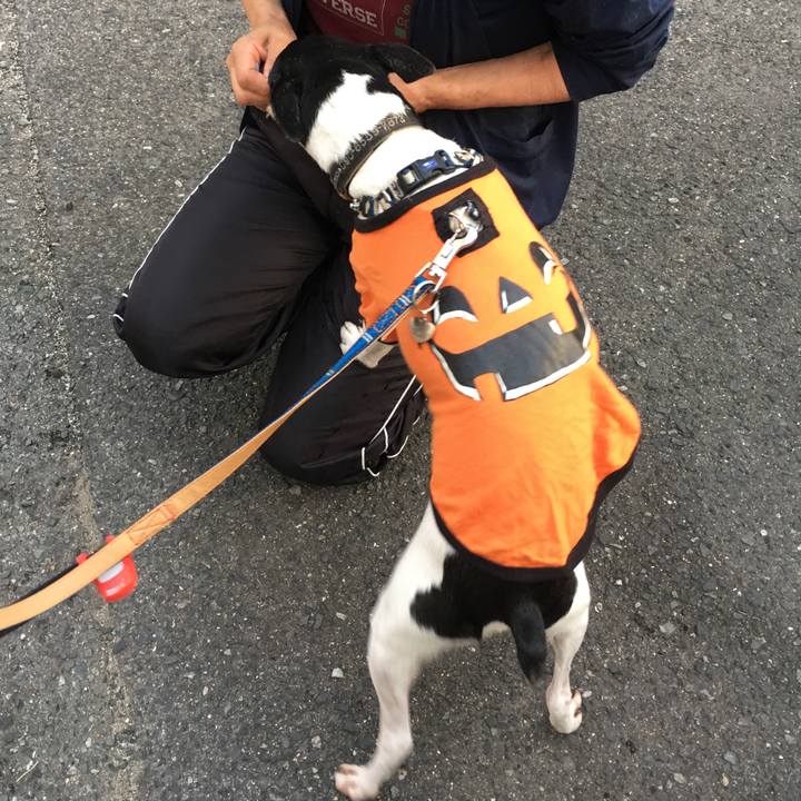 Cca5cf5f 94e9 435c 8383 2ca9902d0f77