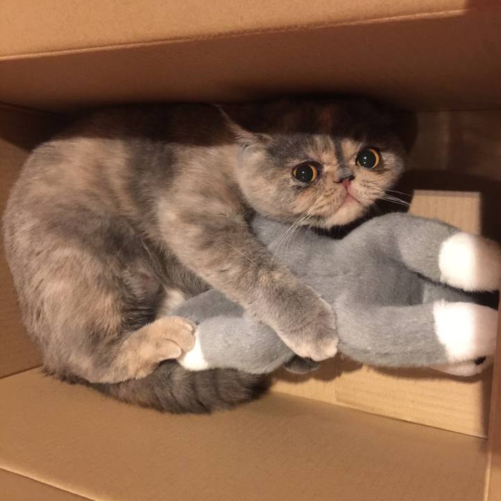 Cca67e66 5fec 4b2c 8fac c1469edc6bdb