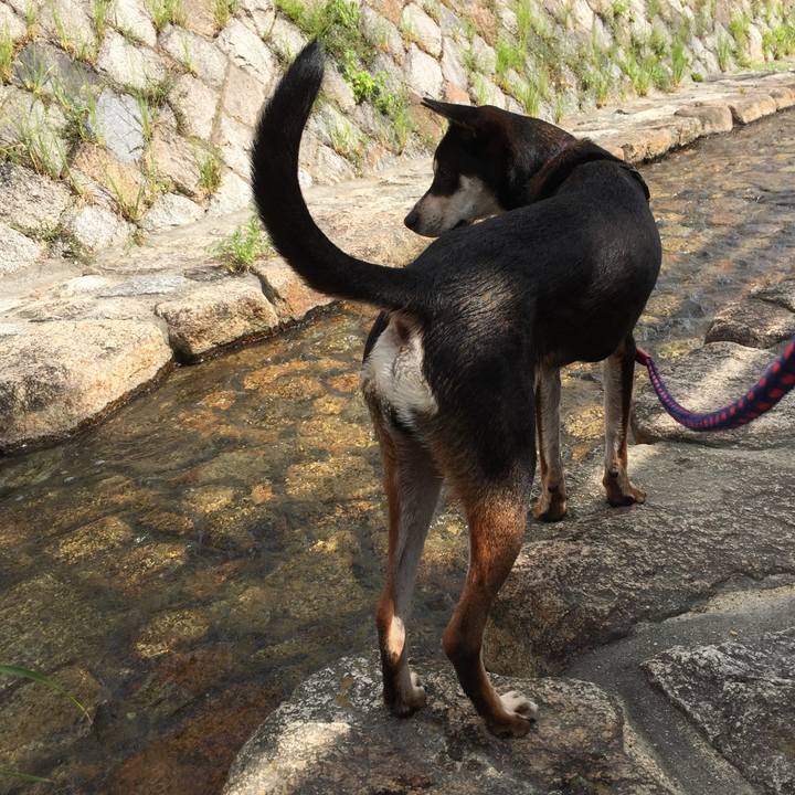 Cca6dc6e cba9 4b61 baa0 37d583500442