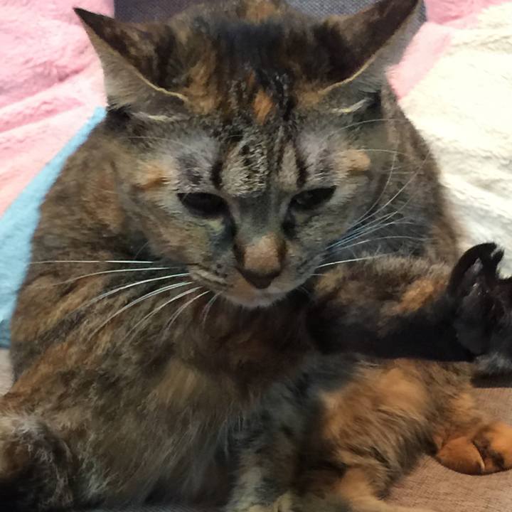 Cca717fc d5ad 4577 ba4f b415946edcb8