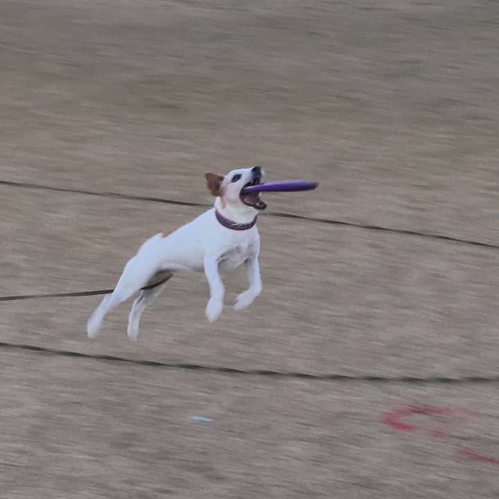 Cca724c9 0092 49c5 9f75 08dabd807569