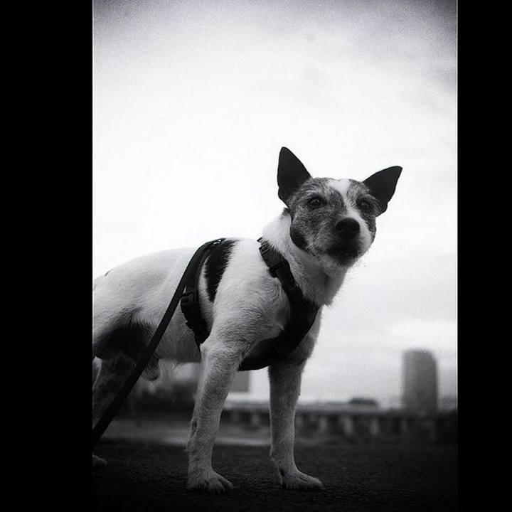 Cca775db 0321 4755 9c3e 4f264c5328fe