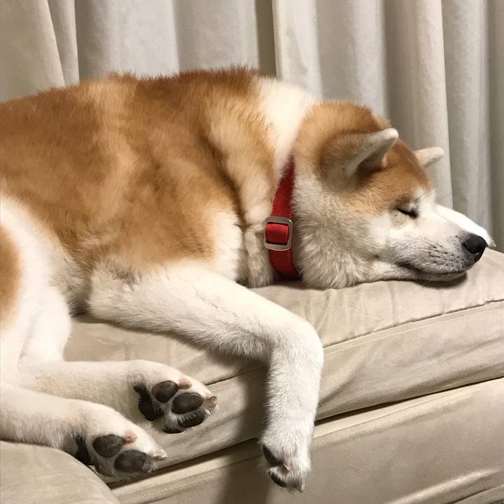 Cca79552 b66d 4b87 8bf6 3bc3f74e089d