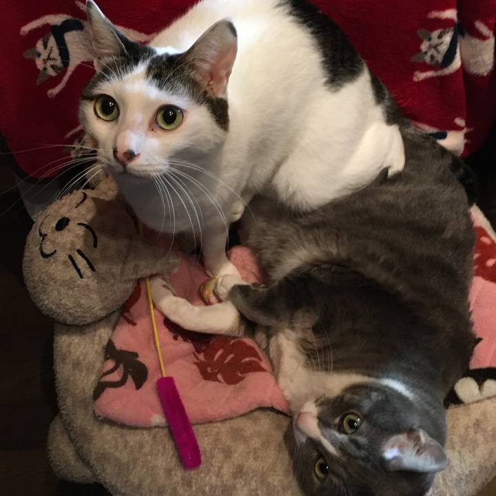 Cca7e35c 3a69 4920 8a7d 624d61a810e1