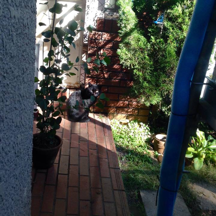 Cca8d65b 3b2d 490f ace9 c71f14303a5c