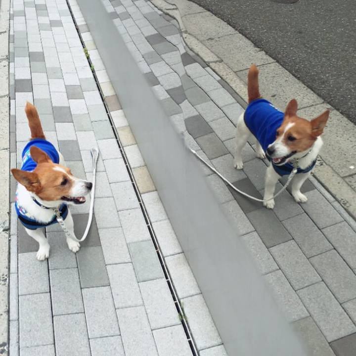 Cca8e109 4fe6 4b6b b9fb b7278d3c91bb