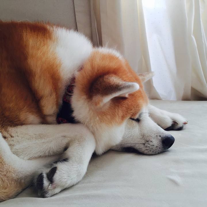 Cca8f306 5ea7 42ba b2fa 62032a2cd4b2