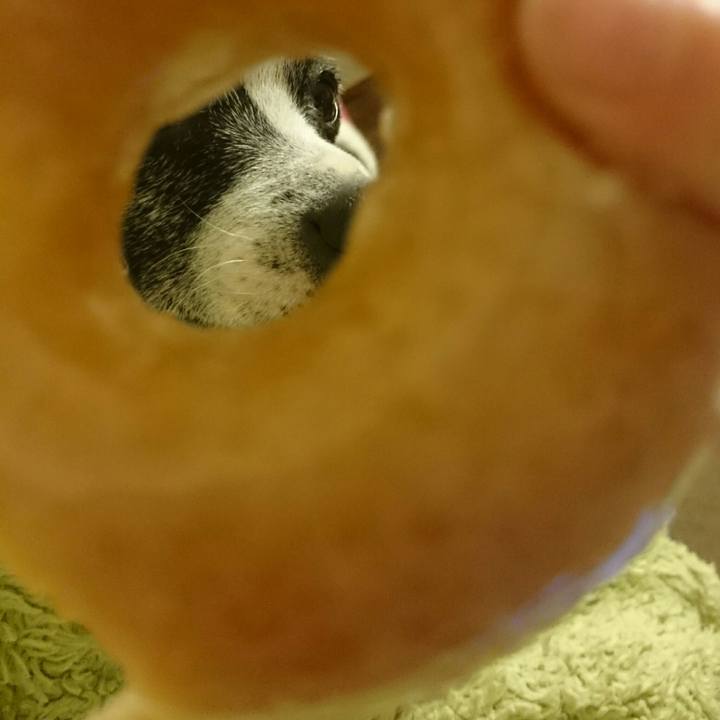 Cca949f5 b516 4120 8eb8 3a3791057d9a