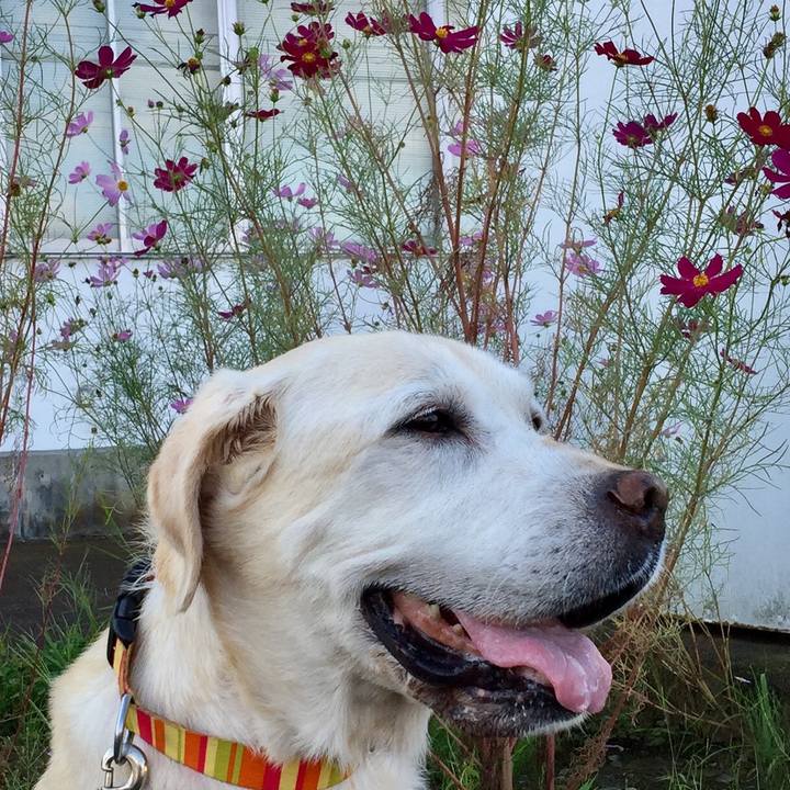 Cca950ba 2ac5 40a6 8ae1 786018c47fa9