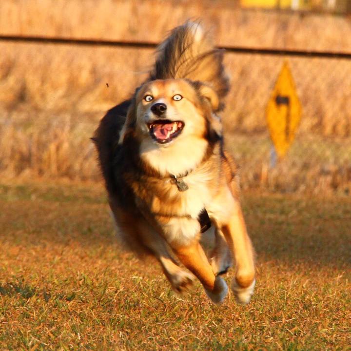 Cca9accb e0aa 4888 bea8 16f34a71dd1c