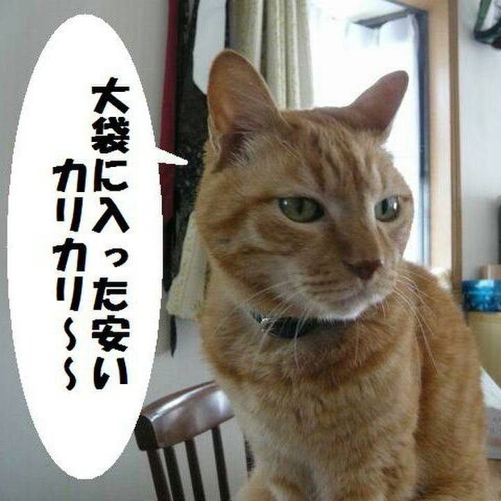 Cca9b58b 8abc 4d5d 8dc5 2fda696ca989